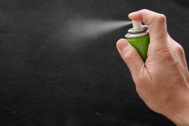 車の虫除け方法は?車外・車内におけるおすすめの対策や付着時の対処法