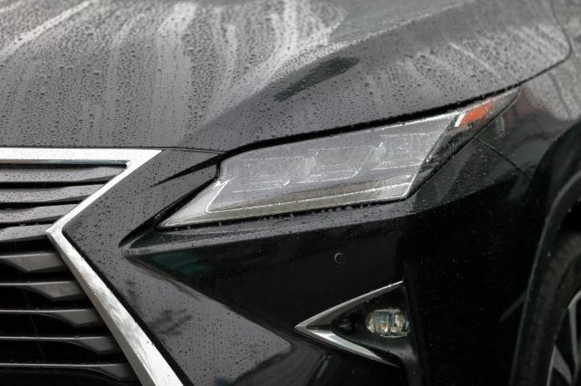 車の虫除け方法は?車外・車内におけるおすすめの対策や付着時の対処法