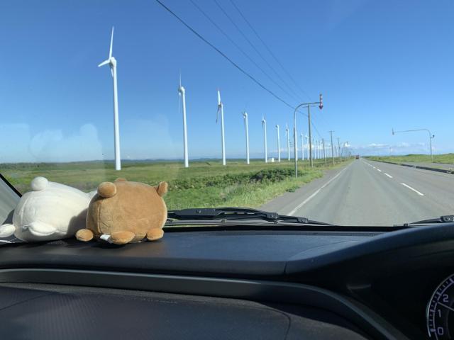 車にぬいぐるみを置くと交通違反になる?おしゃれな車に乗るコツを紹介