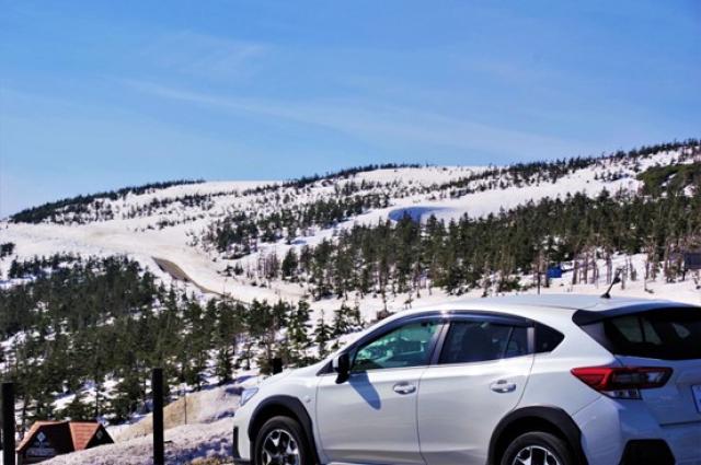 スバル クロストレックとマツダ CX-30！コンパクトSUVを徹底比較