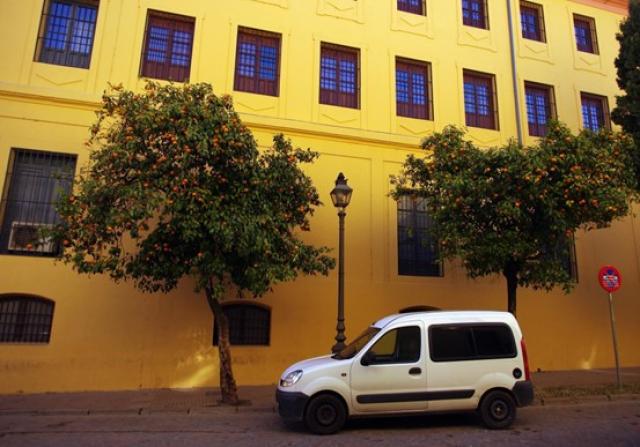 カングーの内装・外装を徹底解剖！スペックや価格もチェックしよう