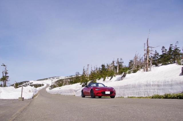 ロードスターの配色は？ボディカラーや内装色を徹底解説