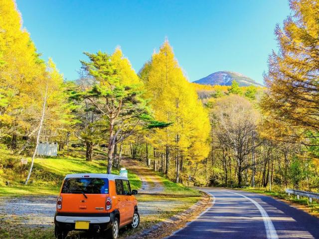 ハスラーの乗り心地に関するチェックポイントは?魅力的な特徴が丸わかり