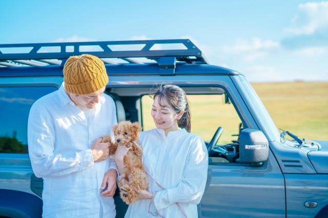 FJクルーザーの値上がりは終わった?中古車価格事情を徹底解説