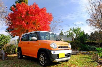 ハスラーのリースを検討しているなら理解を深めよう！その他の選択肢も紹介