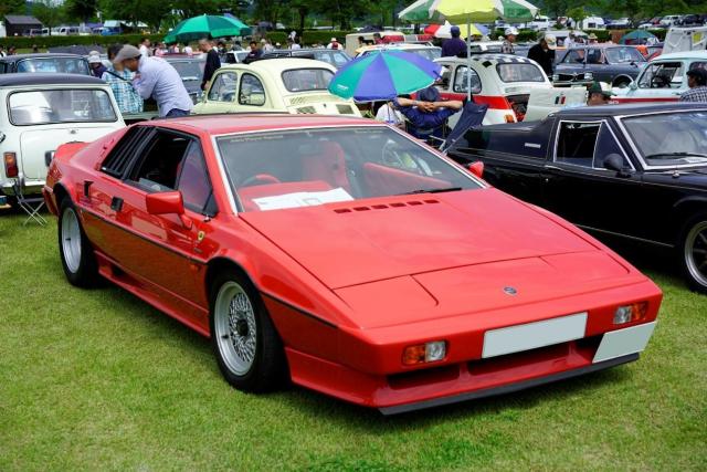 ロータスのエンブレムが持つ意味とは？歴史や現行モデルの基本情報を解説！