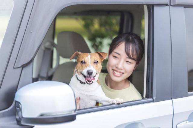 ソリオバンディットの内装が気になる!インテリアデザインやソリオとの違いは?