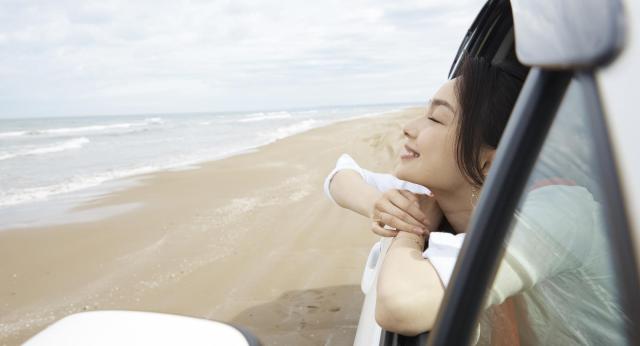 ホンダ エレメントとは?国内販売終了後18年経過した現在の入手方法は?