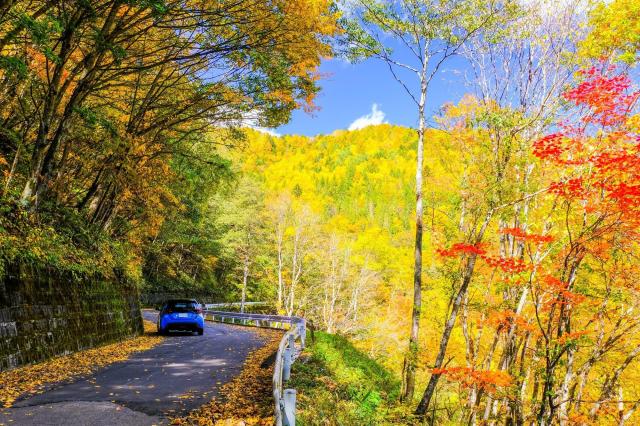 ヤリスの乗り心地が良い5つの秘密！小型車の常識を覆す快適性