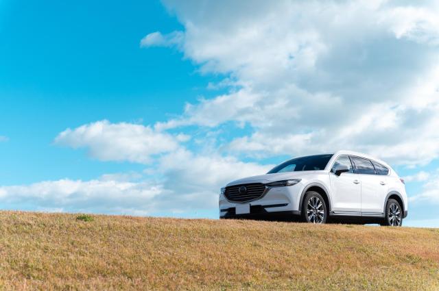 土手に停車しているSUV