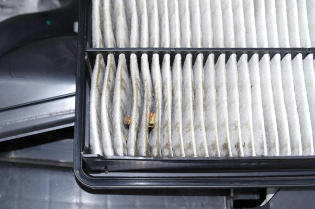 車のエアフィルターに詰まった異物