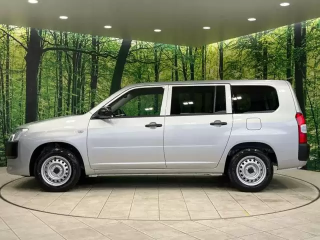 車中泊を楽しめるプロボックスのサイドビュー