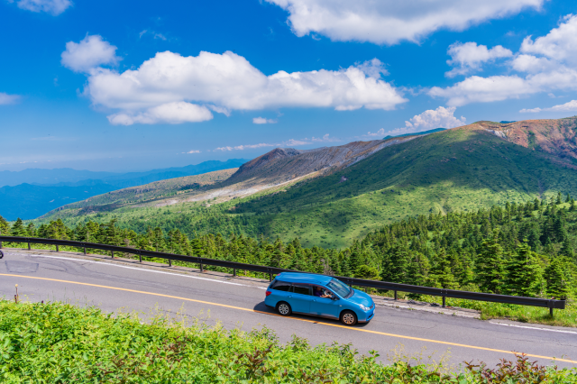 自然に囲まれた道路を走る車