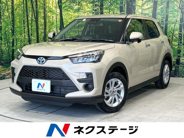 ライズの自動車税種別割の目安は？グリーン化特例の適用や支払い方法を解説