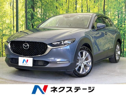 CX-30の自動車税種別割はいくら？金額の目安やグリーン化特例について解説