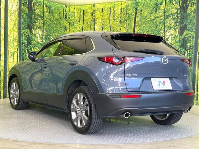 CX-30の後ろ姿