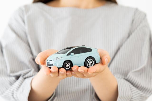 ミニカーを両手に乗せる様子