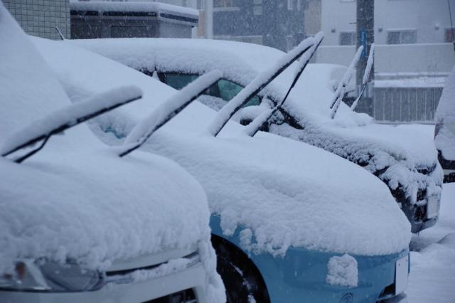 雪が降り積もった複数の車
