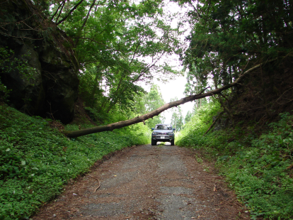 災害に強い車の特徴や選び方は？車中避難時の注意点やおすすめ車種も紹介