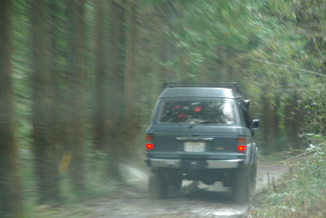 林道を疾走するSUV