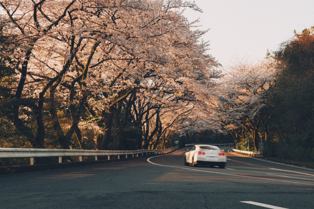 アクセルを踏んでも加速しない場合の修理費用は?原因や対処法も確認