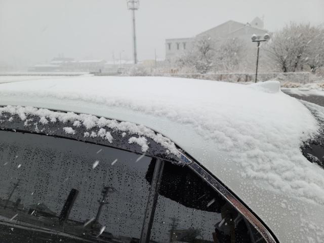 雪が降り積もった車