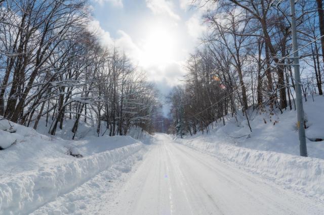 木々に囲まれた雪道