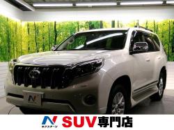 ランドクルーザープラド TZ-G