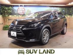 NX NX200t Iパッケージの中古車画像