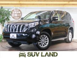 ランドクルーザープラド TZ-Gの中古車画像