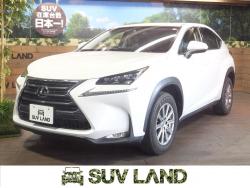 NX NX200t Iパッケージの中古車画像