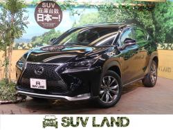 NX NX200t Fスポーツの中古車画像