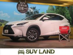 NX NX200t Iパッケージの中古車画像