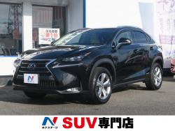 NX NX300h バージョンLの中古車画像