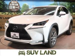 NX NX200t Iパッケージの中古車画像