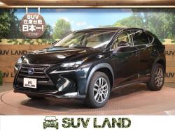 NX NX300h Iパッケージの中古車画像