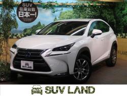 NX NX300h Iパッケージの中古車画像