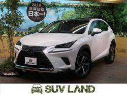 NX NX300 バージョンLの中古車画像