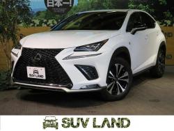 NX NX300 Fスポーツの中古車画像