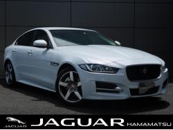 XE XE R-スポーツの中古車画像