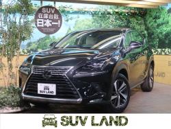 NX NX300 Iパッケージの中古車画像