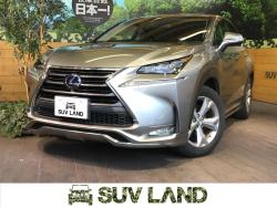NX NX300h バージョンLの中古車画像