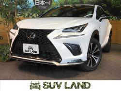 NX NX300 Fスポーツの中古車画像