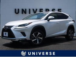NX NX300h Iパッケージの中古車画像