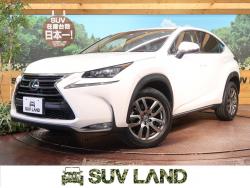 NX NX200t Iパッケージの中古車画像