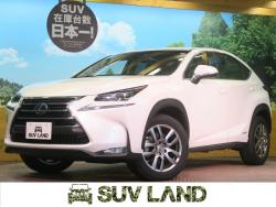NX NX300h Iパッケージの中古車画像