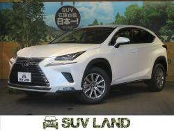 NX NX300 Iパッケージの中古車画像
