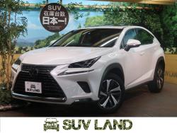 NX NX300 Iパッケージの中古車画像