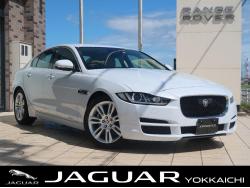 XE XE プレステージの中古車画像