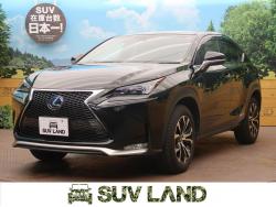 NX NX300h Iパッケージの中古車画像